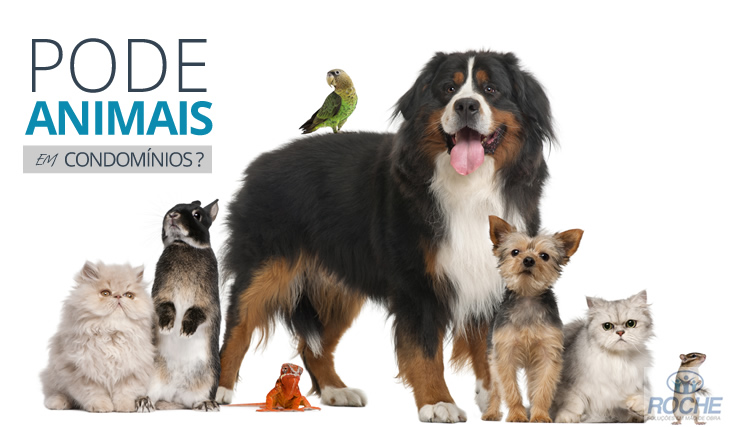 pode-animais-en-condominio